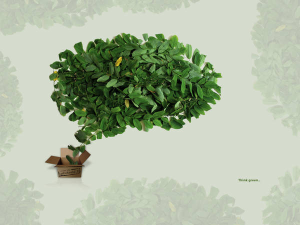 Think green 1600x1200 by Cechas