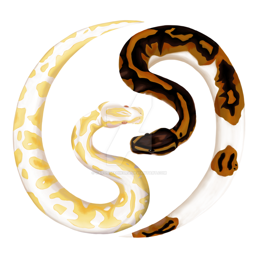 Ball Python Logo by CarusimaHikura on DeviantArt