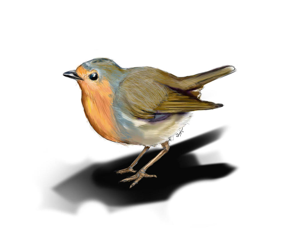 Angry Robin by Artrobin on DeviantArt
