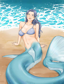 Shore