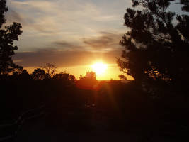 Trail Sunset