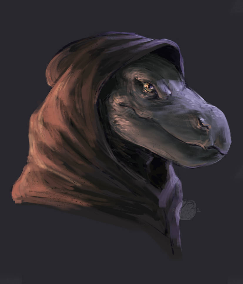 Drake concept. by lil-Petuh on DeviantArt