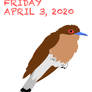 Daily Drawing: A Cuckoo