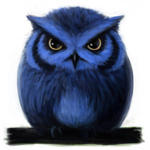 Blue Owl