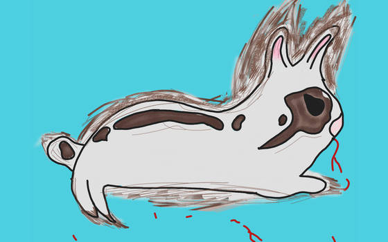 Deviantart Floppy Rabbit Floptimeworld User Profile | DeviantArt