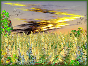 Harvest Time Sunset in Apophys