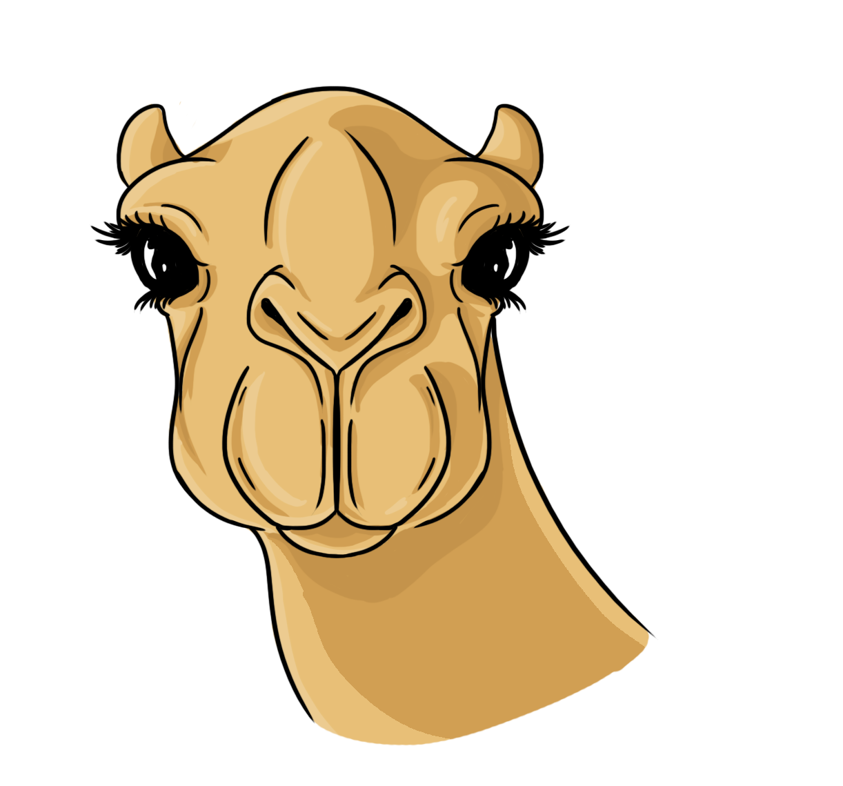 How to Draw a Camel