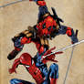 Amazing Spider Man Despicable Deadpool