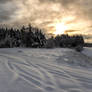 Winter, evening.