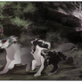 Druid P3
