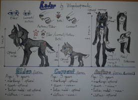 RADAR   - Full reference sheet-