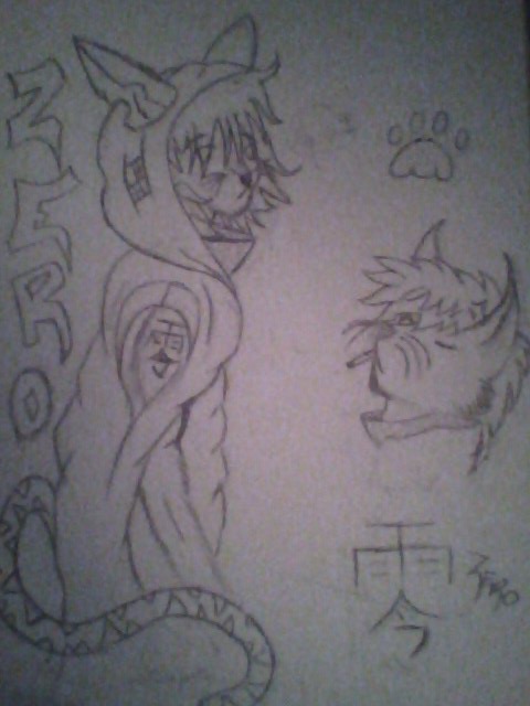 Zero the Cat by floxty on DeviantArt