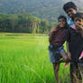 glimpses of kerala...