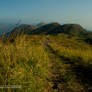 viewfinder 0024