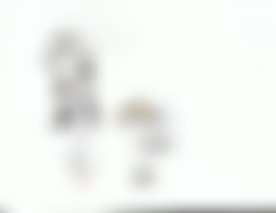 Luna the Rabbit by CYSYS8993 on DeviantArt