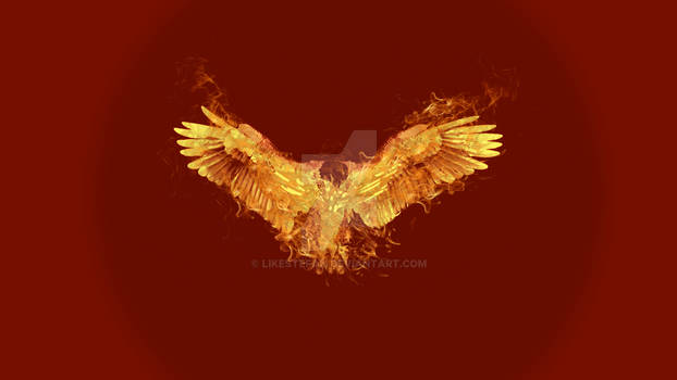 FireEagle