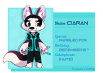 CC app - CIARAN by zixmix