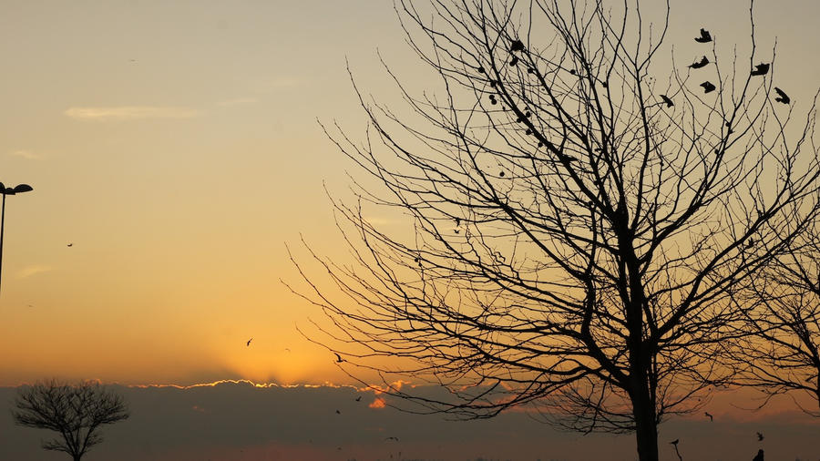 Sunset at Kadikoy 16