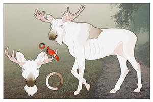 White Moose Comm