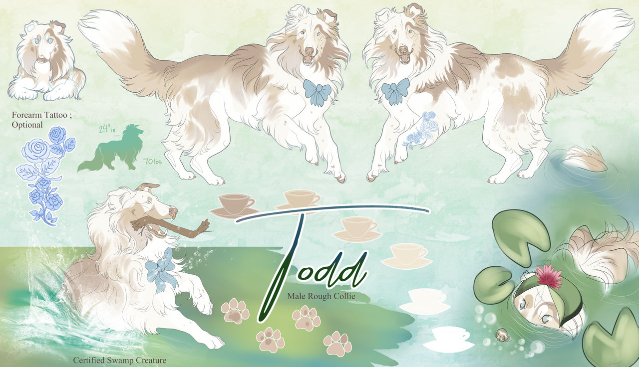 Todd Master Ref by Saleau on DeviantArt