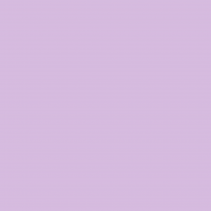 Light-purple-slide-300x300