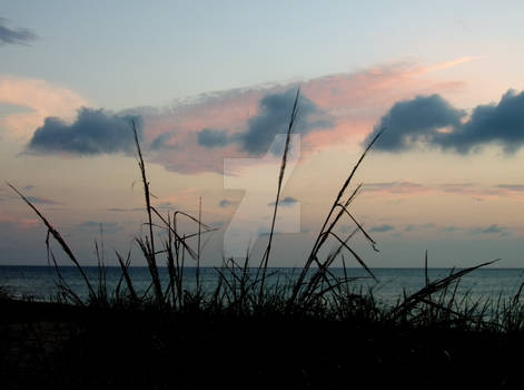 Sunrise at the Beach