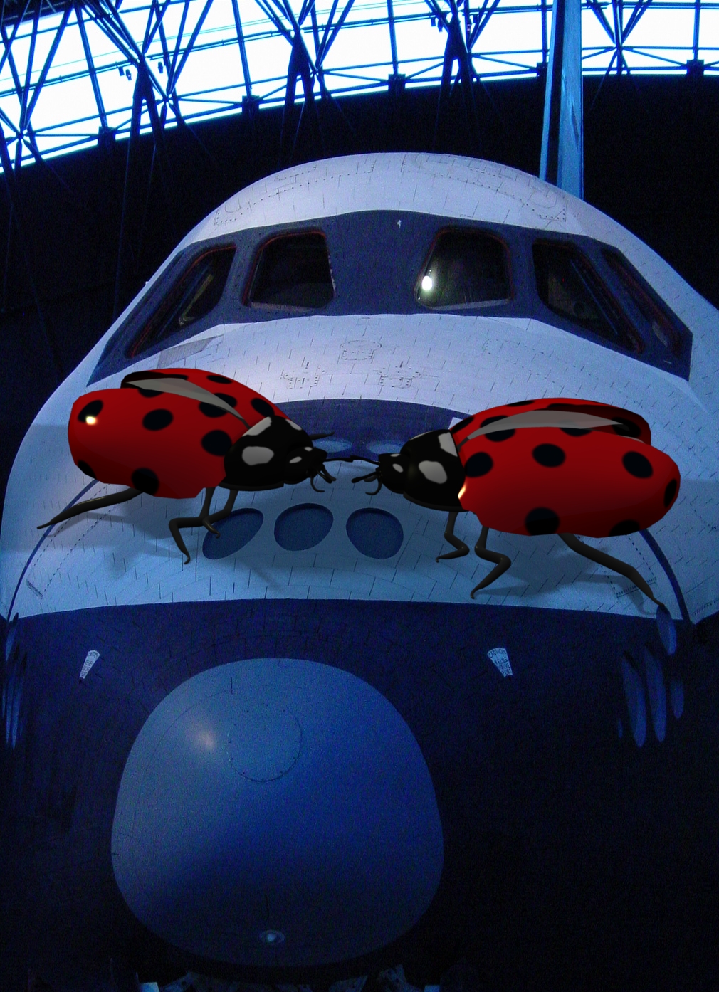 Ladybug Space Shuttle composit