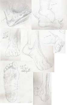 Foot study