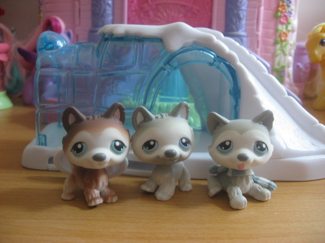 Littlest pet shop polar puppies