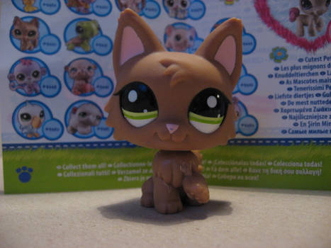 Littlest pet shop cat 2440