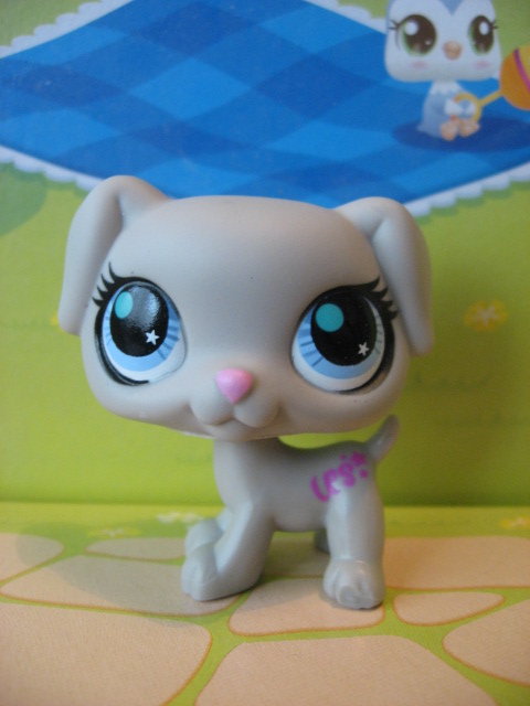 Littlest pet shop dog 2789