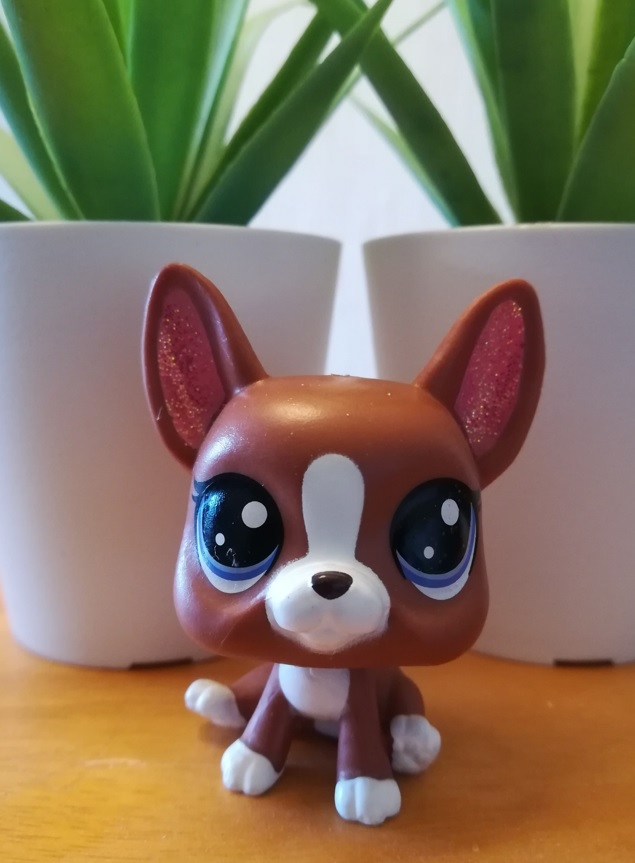 Lps Roxy Littlest pet shop Roxie McTerrier by Twilightberry on DeviantArt