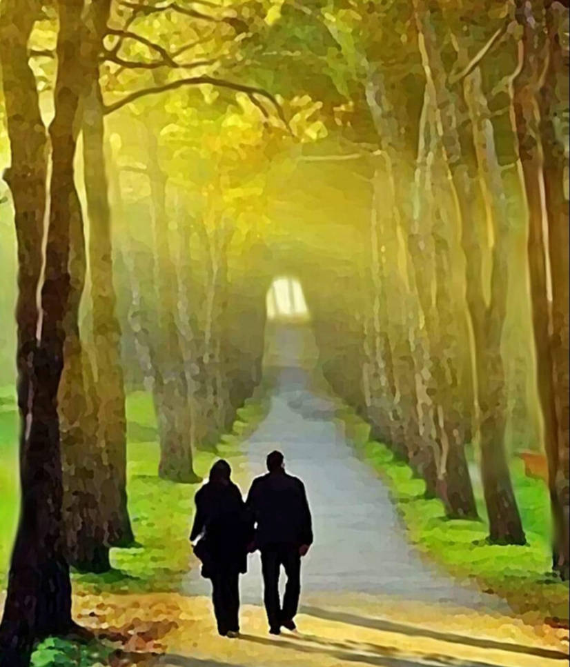 Life path by Joshua2535 on DeviantArt