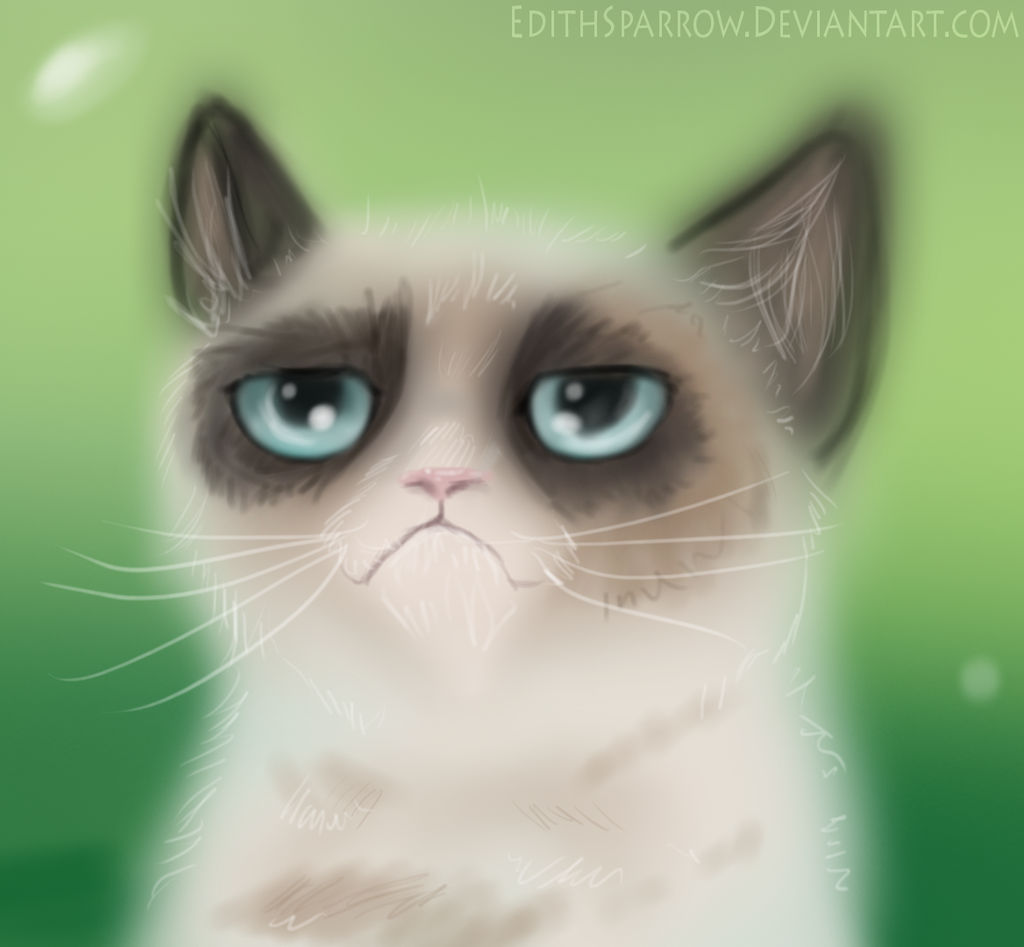 Grumpy Cat Rip Deviantart Grumpy Cat by EdithSparrow on DeviantArt