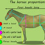 The Horses Proportions