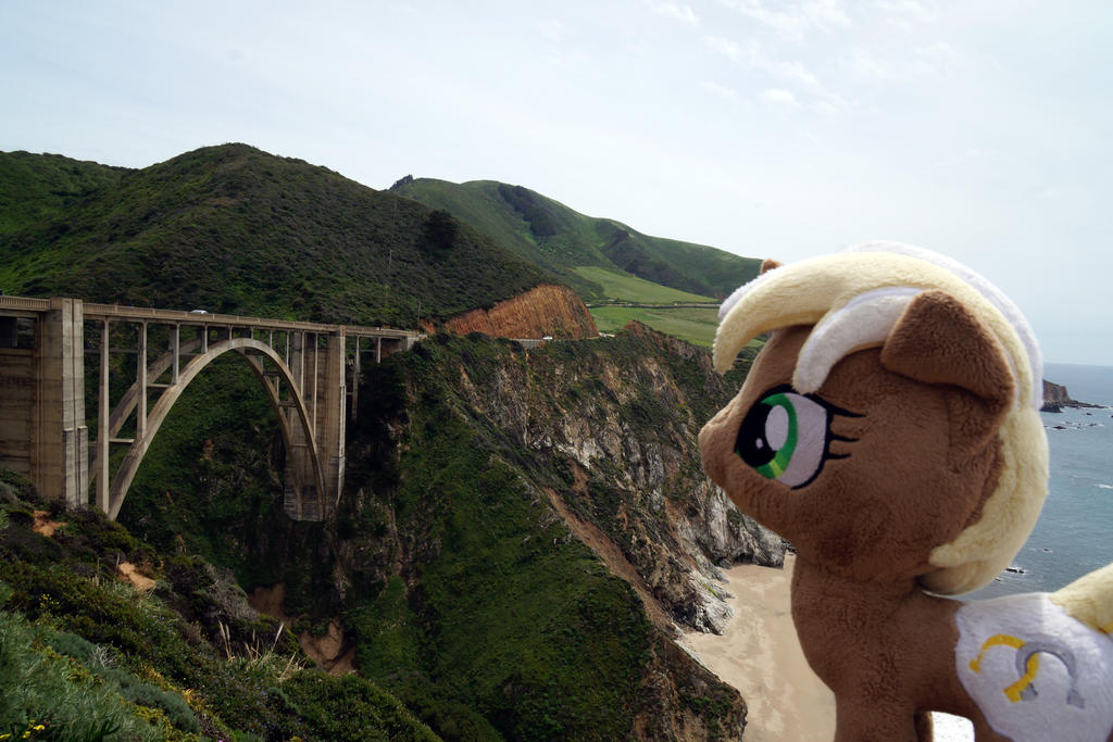 Unity at Bixby Bridge, California