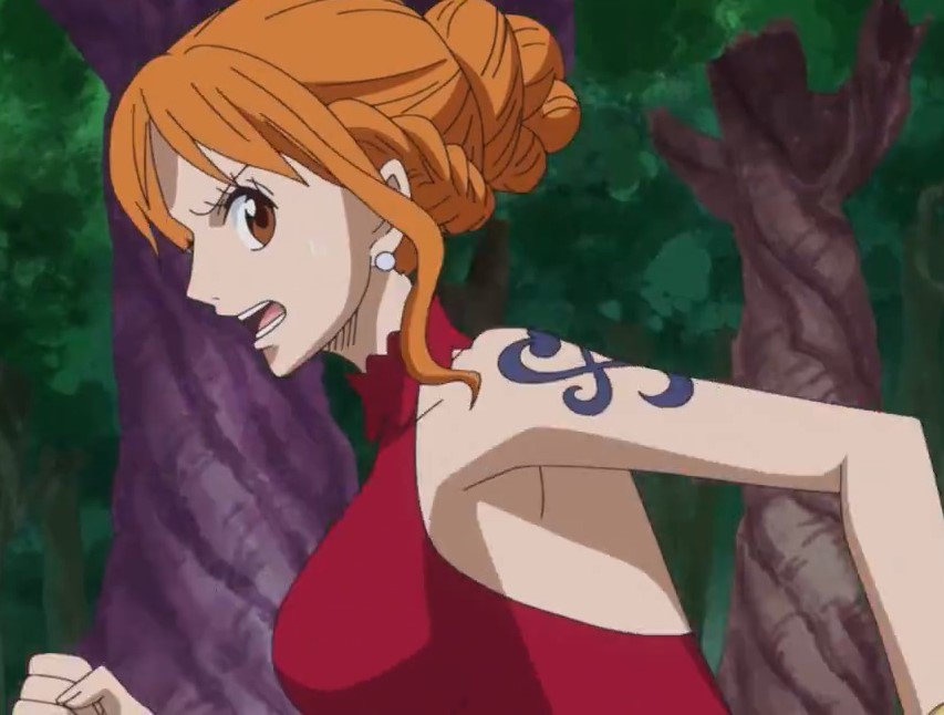 Nami - One Piece Episode 819 by StrawhatLuffy05 on DeviantArt