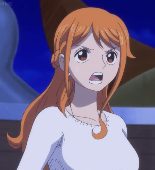 Nami - One Piece episode 993 by Berg-anime on DeviantArt