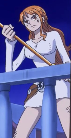 Personal Anime Blog — Nami in episode 853.