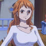 Nami One Piece Episode 872