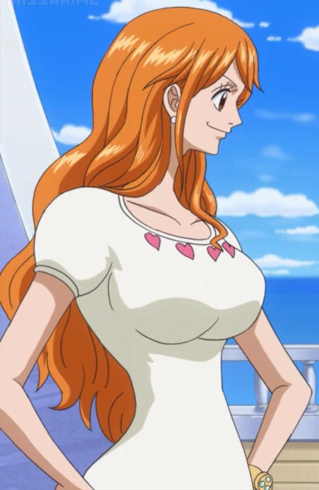 Nami One Piece Episode 878 By Rosesaiyan On Deviantart