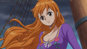 One Piece Episode 8 One Piece Episode 8