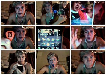 Nialls Twitcam