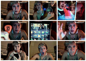 Nialls Twitcam