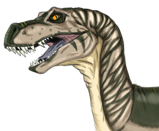 Raptor - Coloured by Shimmergloom on DeviantArt