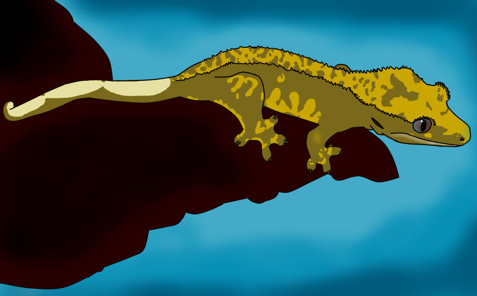 Gecko Deviantart Crested Gecko art by Illuminekko on DeviantArt