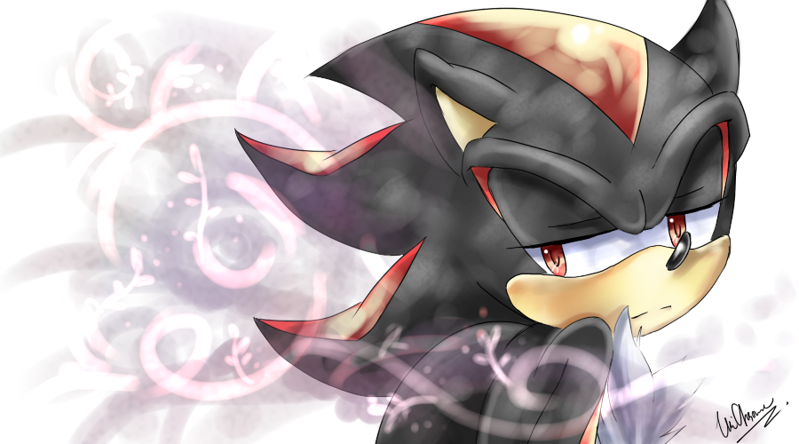 Shadow the Hedgehog