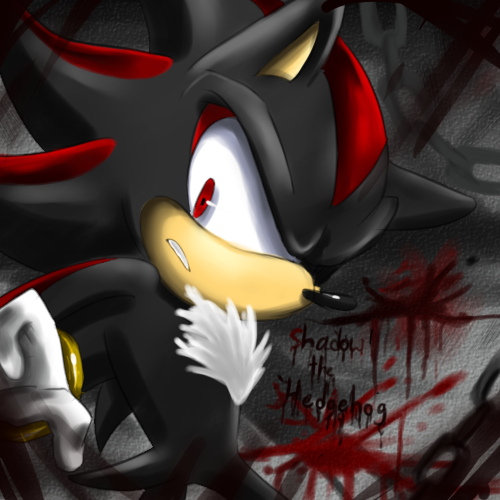 Shadow The Hedgehog