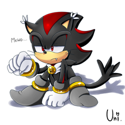 Shadow the Meow-Hog(?)