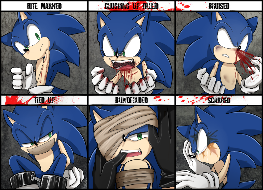 Character Abuse Meme-Sonic the Hedgehog.